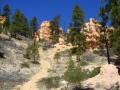21avr_11.21 - Bryce Canyon.jpg
